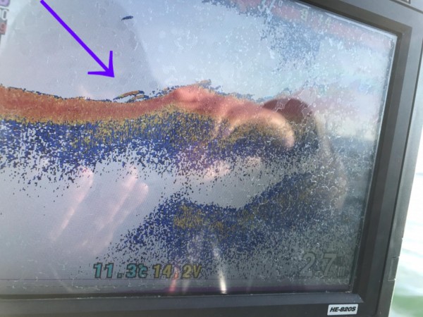 hideup 永野総一朗 ブログ写真 2017/11/25