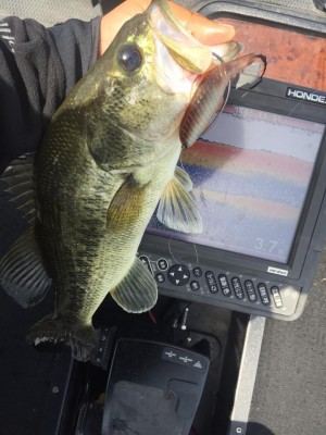 hideup 永野総一朗 ブログ写真 2017/05/08