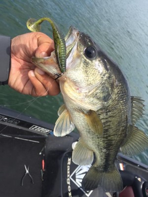 hideup 豌ｸ驥守ｷ丈ｸ譛� 繝悶Ο繧ｰ蜀咏悄 2017/05/17