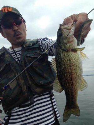 hideup 豌ｸ驥守ｷ丈ｸ譛� 繝悶Ο繧ｰ蜀咏悄 2015/06/10