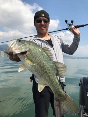 hideup 豌ｸ驥守ｷ丈ｸ譛� 繝悶Ο繧ｰ蜀咏悄 2017/05/24