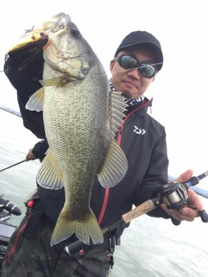 hideup 永野総一朗 ブログ写真 2016/11/11