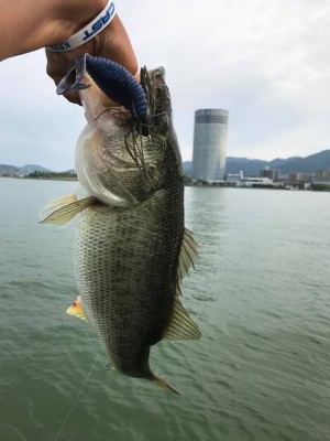 hideup 永野総一朗 ブログ写真 2017/06/19