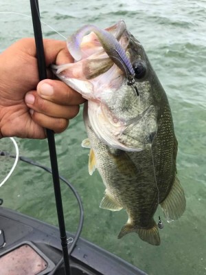 hideup 永野総一朗 ブログ写真 2017/08/05