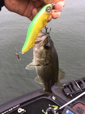 hideup 永野総一朗 ブログ写真 2016/09/21