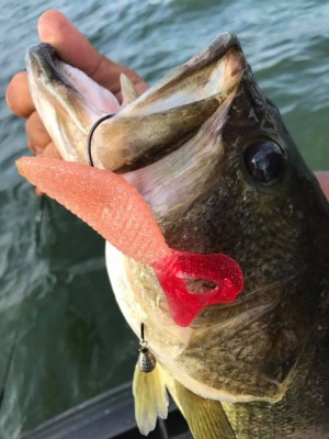 hideup 永野総一朗 ブログ写真 2017/08/20