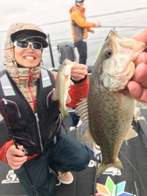 hideup 永野総一朗 ブログ写真 2017/11/18