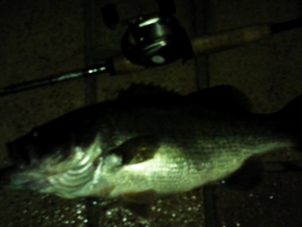 hideup 永野総一朗 ブログ写真 2013/04/19