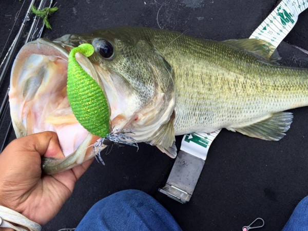 hideup 永野総一朗 ブログ写真 2016/07/01