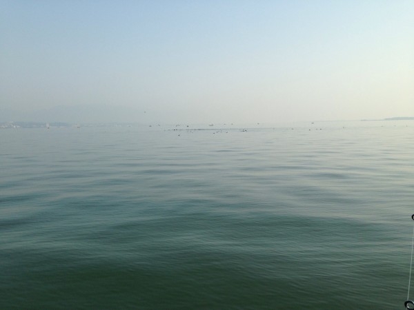 hideup 永野総一朗 ブログ写真 2014/04/11