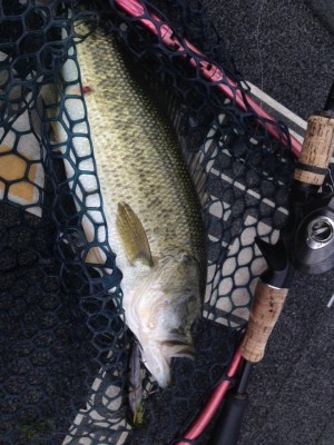 hideup 永野総一朗 ブログ写真 2015/06/09