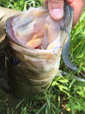 hideup 永野総一朗 ブログ写真 2015/05/21