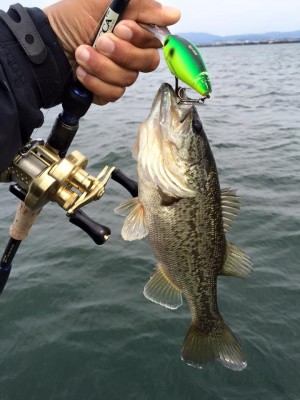 hideup 永野総一朗 ブログ写真 2016/04/08