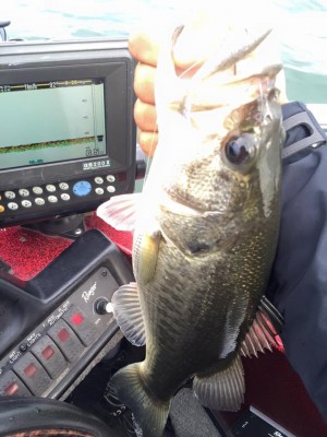 hideup 永野総一朗 ブログ写真 2015/11/13