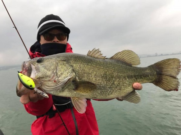 hideup 永野総一朗 ブログ写真 2017/11/08