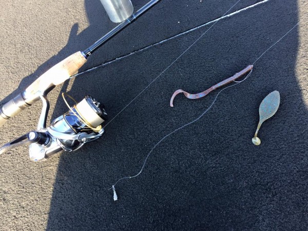 hideup 永野総一朗 ブログ写真 2016/04/19