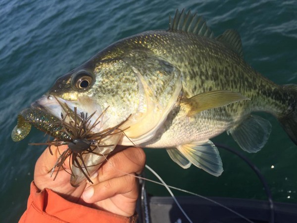 hideup 永野総一朗 ブログ写真 2017/04/17