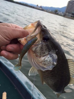 hideup 永野総一朗 ブログ写真 2016/04/12