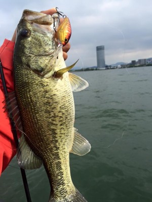 hideup 永野総一朗 ブログ写真 2016/05/09