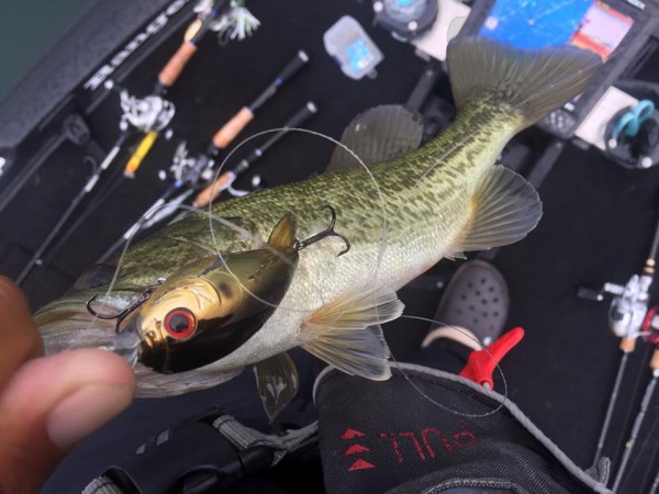 hideup 永野総一朗 ブログ写真 2016/10/03