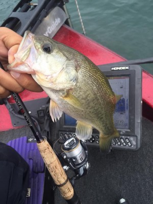 hideup 永野総一朗 ブログ写真 2015/09/25