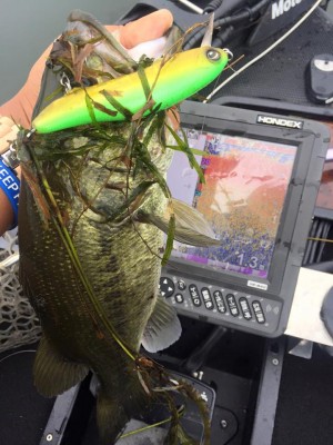 hideup 永野総一朗 ブログ写真 2016/09/20