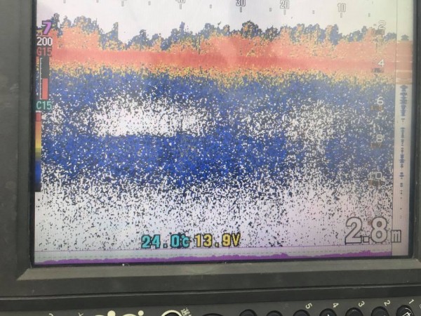 hideup 永野総一朗 ブログ写真 2017/06/22