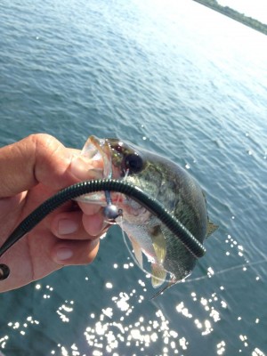 hideup 永野総一朗 ブログ写真 2014/09/02