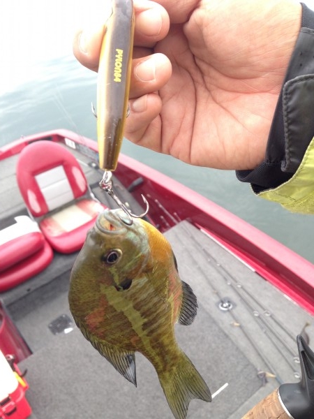 hideup 永野総一朗 ブログ写真 2014/06/19