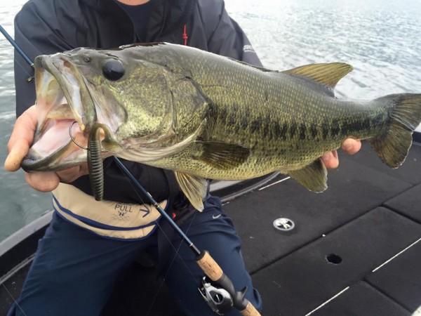 hideup 永野総一朗 ブログ写真 2016/09/13