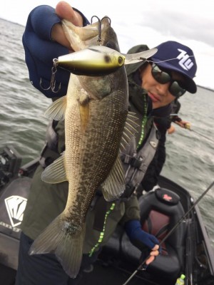 hideup 永野総一朗 ブログ写真 2016/12/14