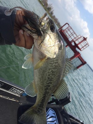 hideup 永野総一朗 ブログ写真 2017/04/13