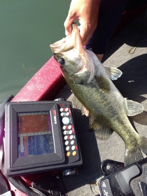 hideup 豌ｸ驥守ｷ丈ｸ譛� 繝悶Ο繧ｰ蜀咏悄 2013/06/08