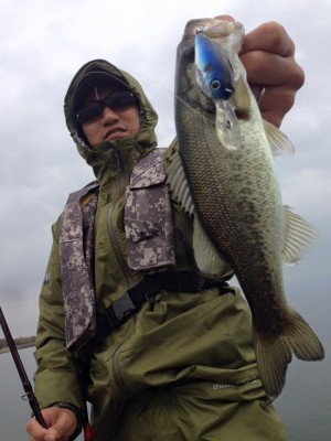 hideup 豌ｸ驥守ｷ丈ｸ譛� 繝悶Ο繧ｰ蜀咏悄 2015/11/17