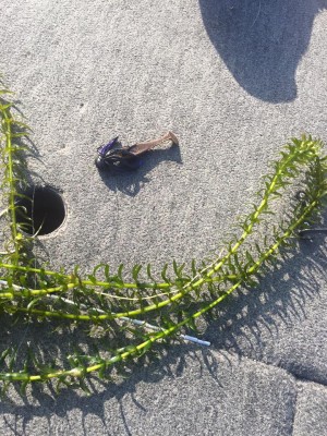 hideup 永野総一朗 ブログ写真 2015/11/21