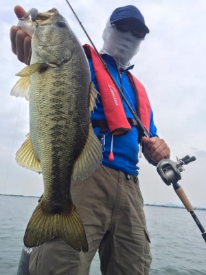hideup 永野総一朗 ブログ写真 2016/06/04