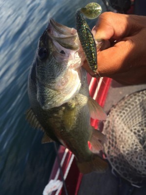 hideup 永野総一朗 ブログ写真 2015/08/23