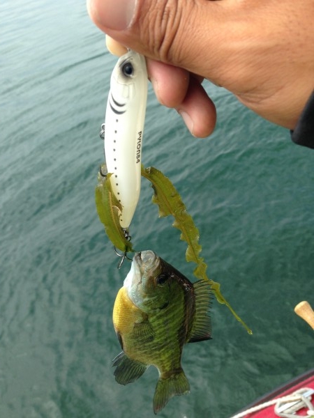 hideup 永野総一朗 ブログ写真 2014/06/24