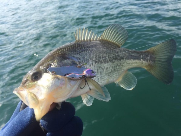 hideup 永野総一朗 ブログ写真 2017/02/24