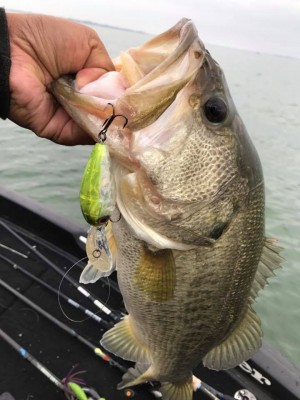 hideup 永野総一朗 ブログ写真 2017/11/07