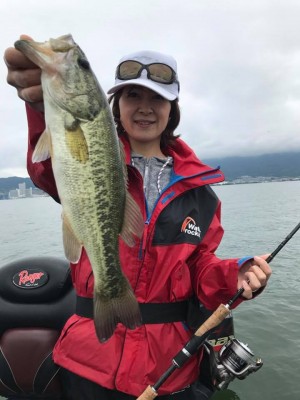 hideup 豌ｸ驥守ｷ丈ｸ譛� 繝悶Ο繧ｰ蜀咏悄 2017/06/08