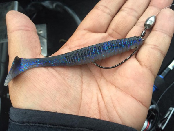 hideup 永野総一朗 ブログ写真 2017/05/04