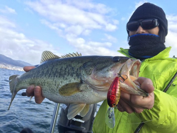 hideup 豌ク驥守キ丈ク譛� 繝悶Ο繧ー蜀咏悄 2017/03/16