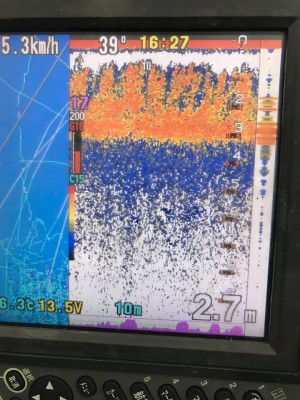 hideup 永野総一朗 ブログ写真 2017/09/07