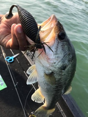 hideup 永野総一朗 ブログ写真 2017/06/24