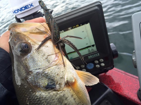 hideup 永野総一朗 ブログ写真 2015/12/25