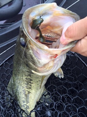 hideup 豌ｸ驥守ｷ丈ｸ譛� 繝悶Ο繧ｰ蜀咏悄 2016/04/23