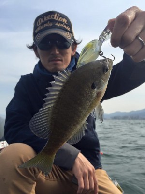 hideup 永野総一朗 ブログ写真 2016/04/09