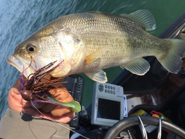 hideup 永野総一朗 ブログ写真 2017/11/27