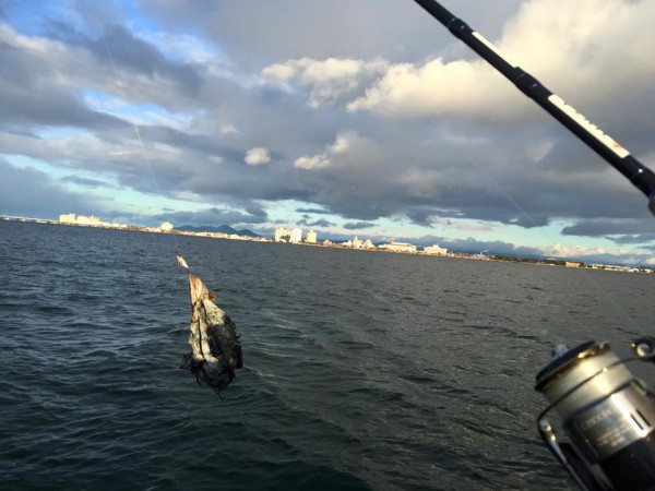 hideup 永野総一朗 ブログ写真 2015/12/29